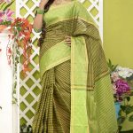 Multi-Color Cotton Saree