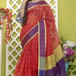 Multi-Color Half Silk Saree