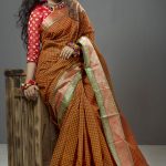 Multi-Color Cotton Saree